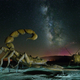 Illustration for article titled 10 Incredible Images From This Years Smithsonian Photo Contest